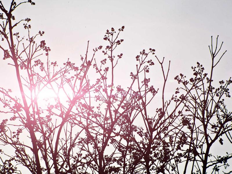 sudoku skill level screenshot 5