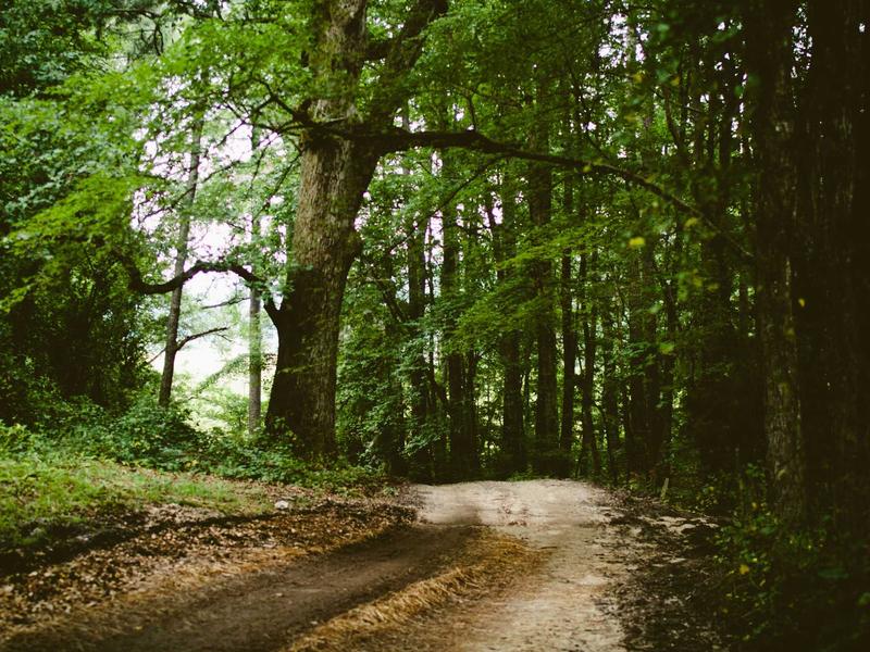 sudoku variants screenshot 4